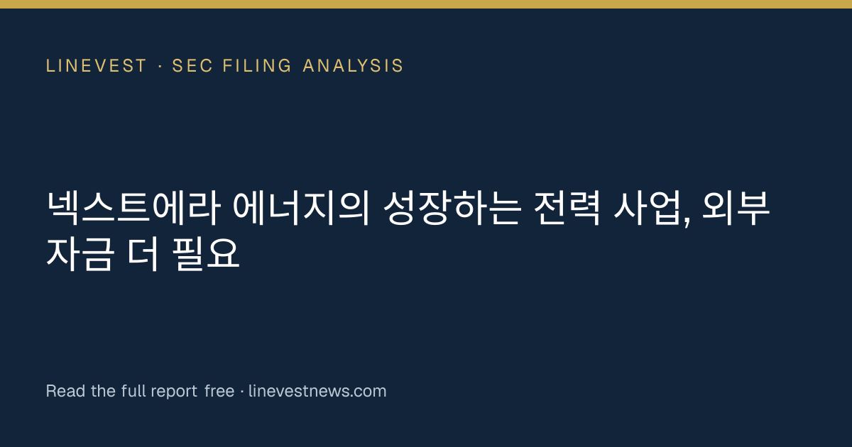 넥스트에라 에너지의 성장하는 전력 사업, 외부 자금 더 필요